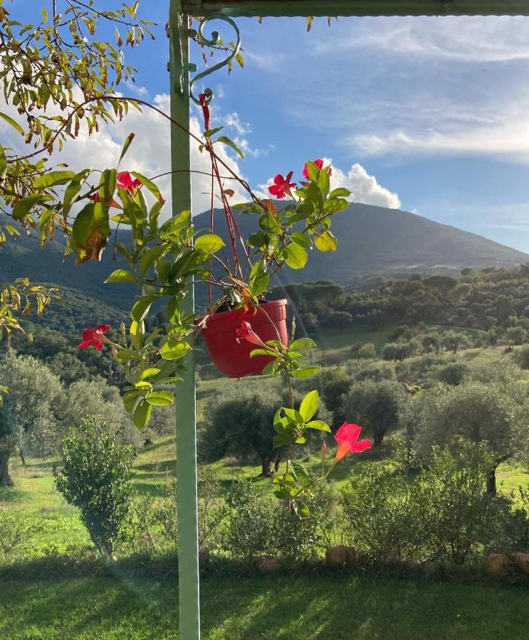 Agriturismo Is Conchisceddas Gonnosfanadiga ภายนอก รูปภาพ