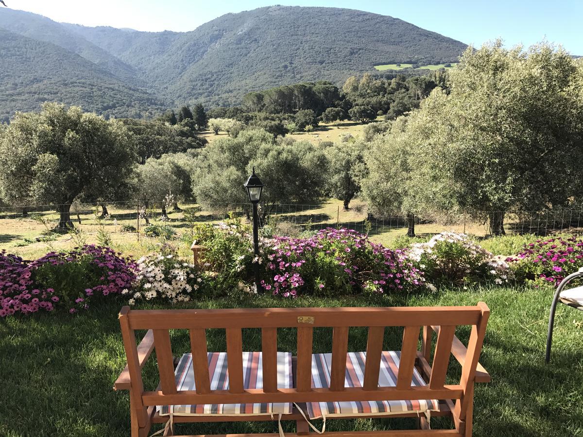Agriturismo Is Conchisceddas Gonnosfanadiga ภายนอก รูปภาพ